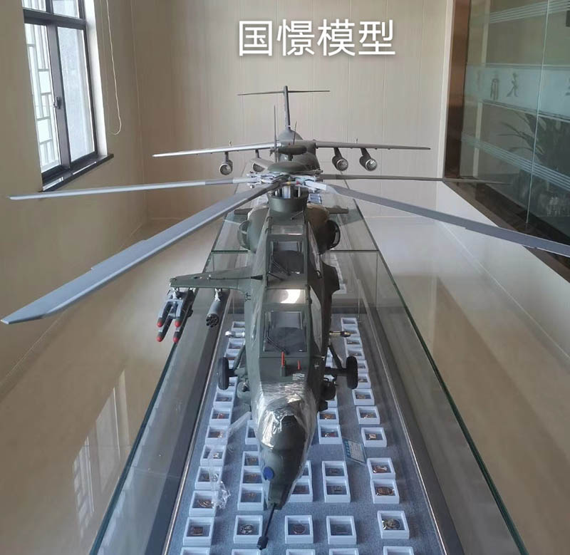 汉源县飞机模型